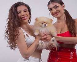 She is an animal lover and has a cute dog in his home She is an animal lover and has a cute dog in his home.
